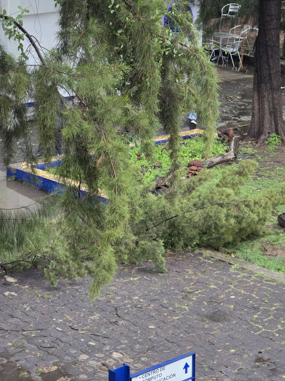 Suspenden actividades académicas en FES Aragón debido a fuertes lluvias y vientos