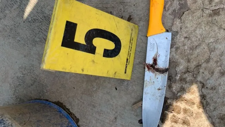 JusticiaParaSilver: detienen a mujer que maltrató hasta la muerte a Silver en Tlalnepantla
