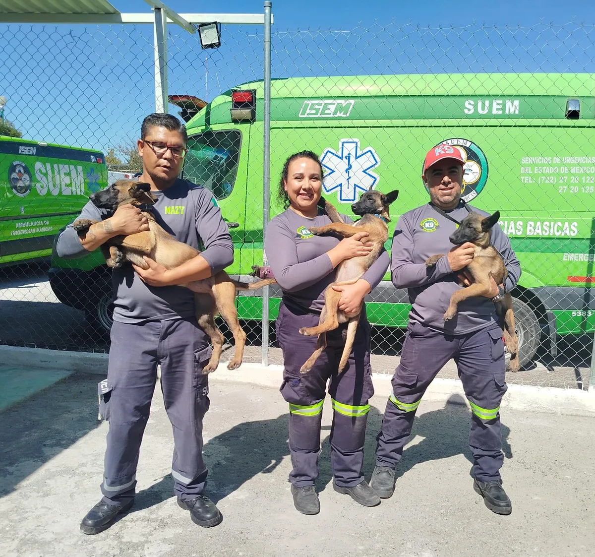 Invitan a la ciudadanía a elegir nombres para cachorros del Escuadrón Canino k9 del SUEM