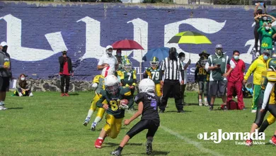 Lobos Toluca