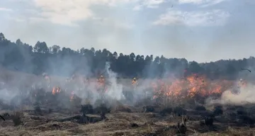 Incendios y contaminación: secuelas que persisten tras sequía de 2024