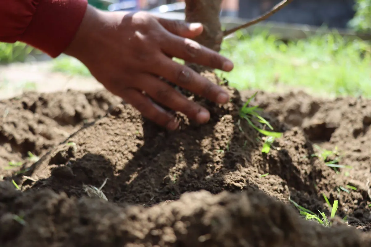 Chimalhuacán: buscan rescatar cerro como patrimonio biocultural