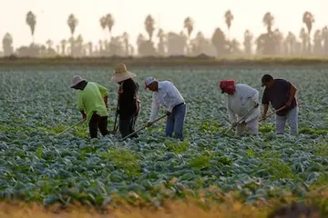 Mexicanos en EU generan una economía mayor que la de varios países, revela estudio