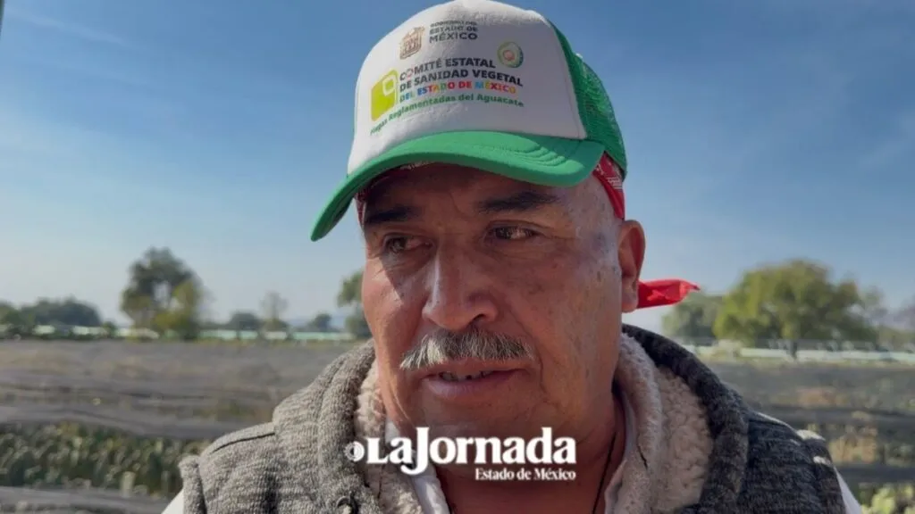 Productores de maíz denuncian robo; piden leyes más severas en Edomex