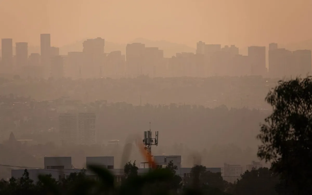 Mañana viernes 10 de mayo, deberán suspender su circulación, en horario de las 5:00 a las 22:00 horas. Foto: La Jornada