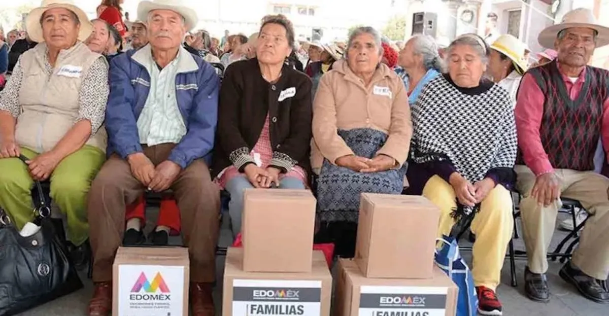 trabajadores-del-hogar-IMSS-Edomex