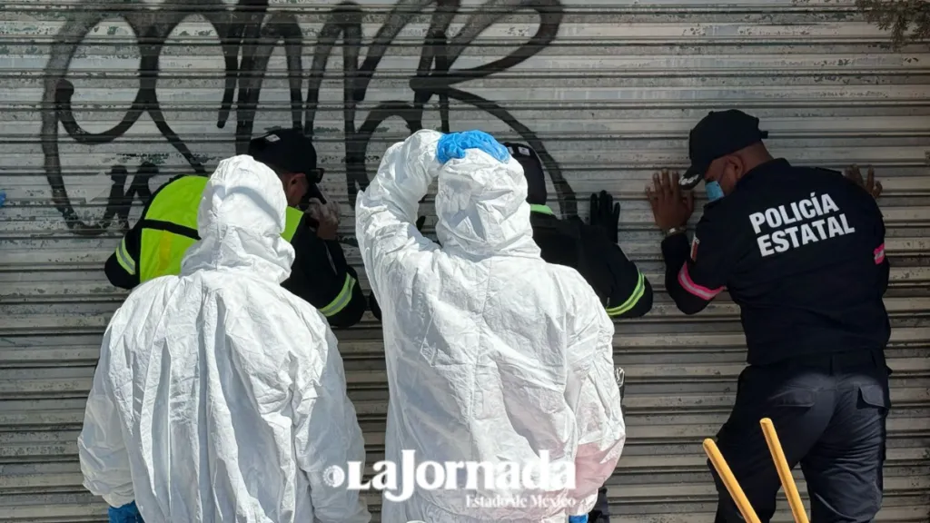 Buscan nuevos indicios en predio donde rescataron 108 perritos en Mexicaltzingo