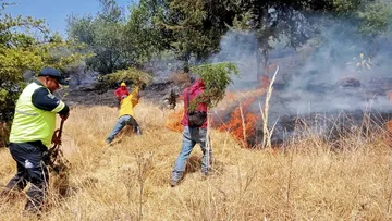 Toluca: Sofocan incendio en el Parque Sierra Morelos