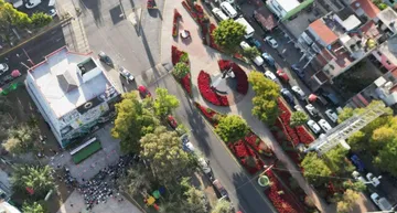 Ecatepec adorna camellones, parques y monumentos con 50 mil flores de nochebuena