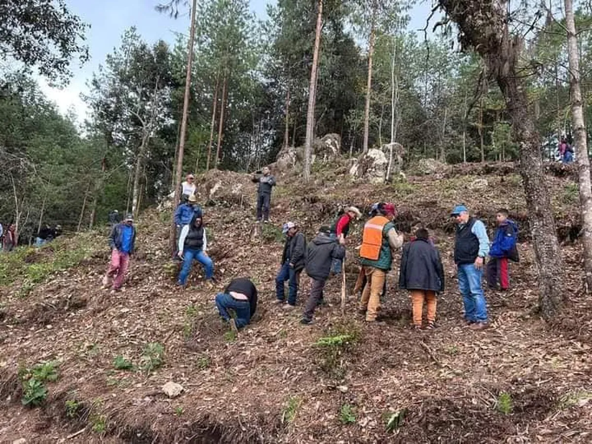 Xonacatlán: Habitantes hacen un llamado para reforestar Mimiapan