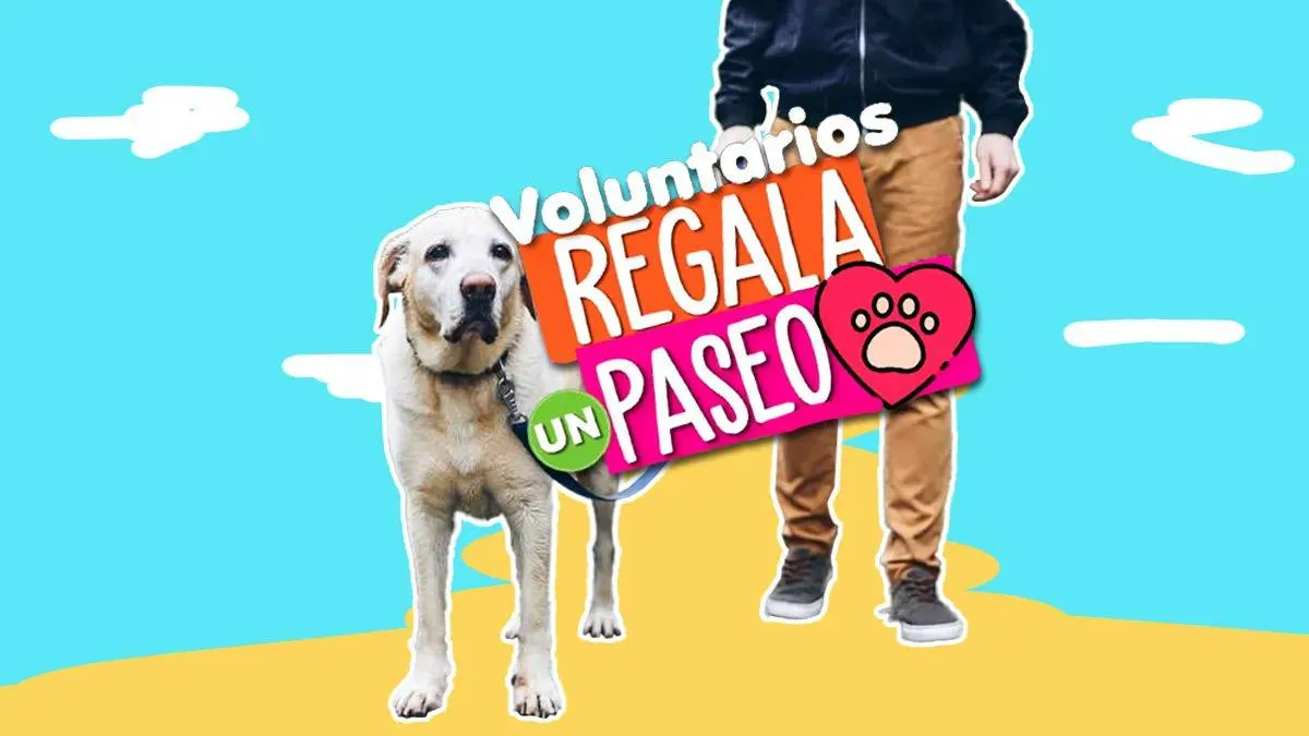Toluca: Únete al Voluntariado “Regala un Paseo”