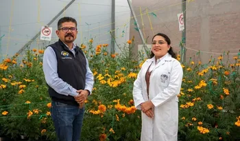 Investigación de Chapingo busca aprovechar el cempasúchil en la recuperación ambiental.