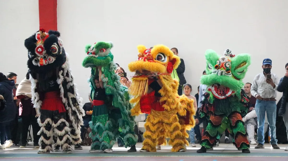 El Regional de Wushu Toluca 2025, congregó a más de 230 atletas y atrajo a cientos de espectadores.