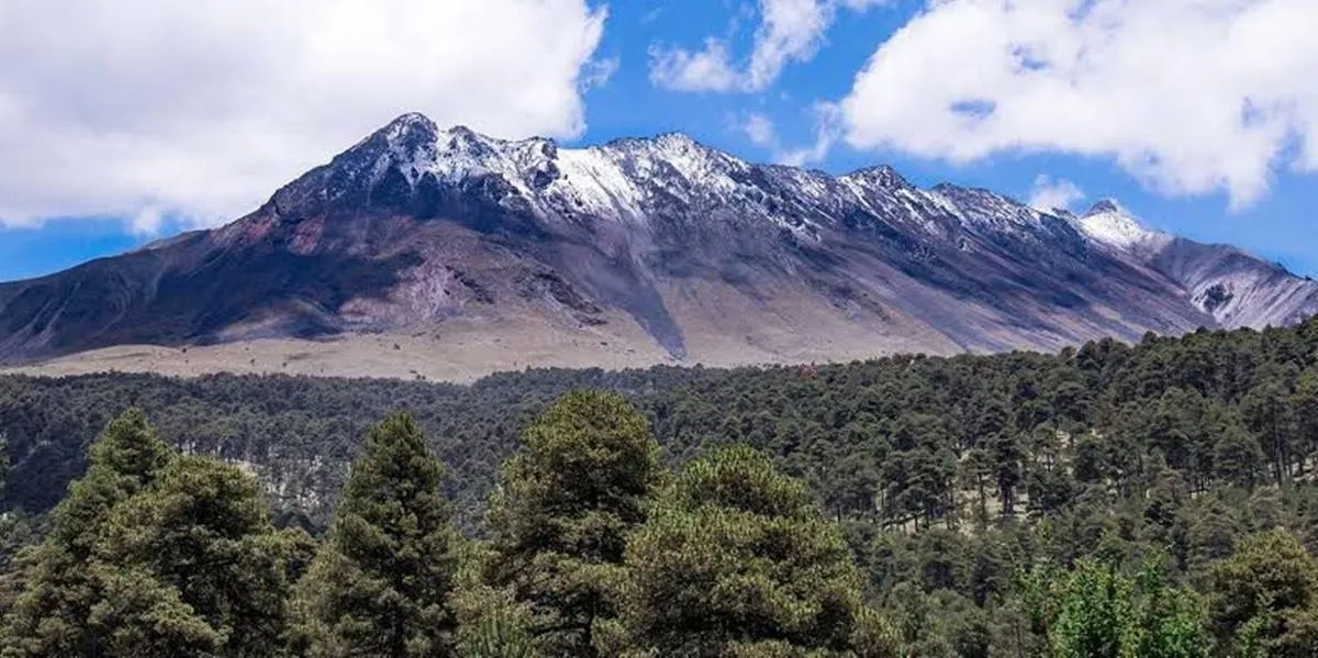 Necesaria protección de bosques para captación de agua: Sebastián Rodríguez