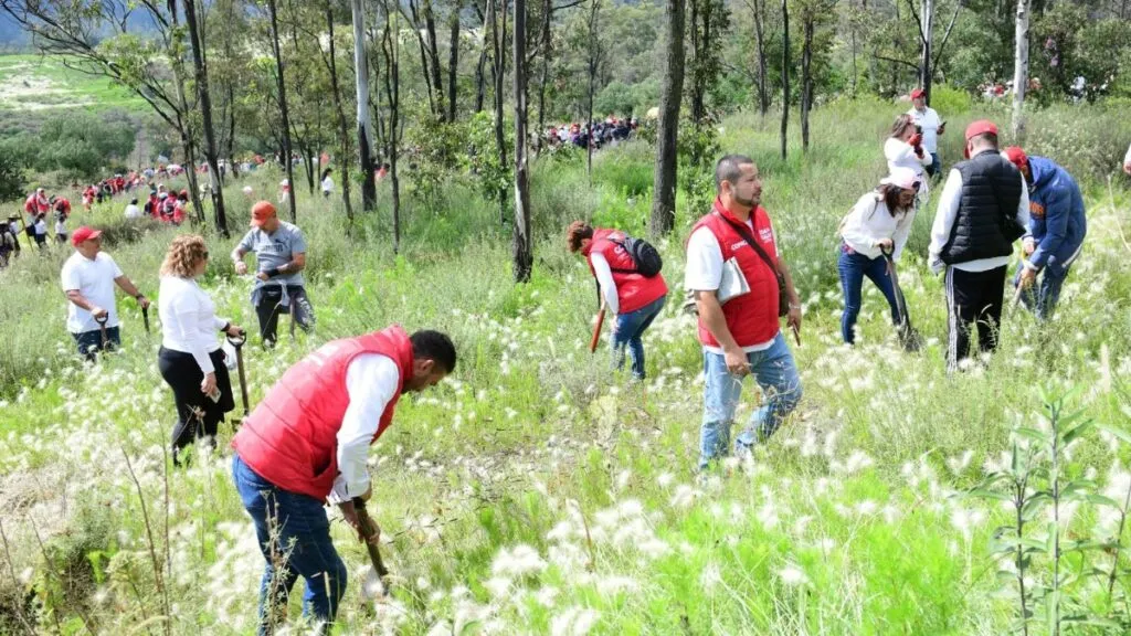 GEM restaura el parque estatal Sierra de Guadalupe
