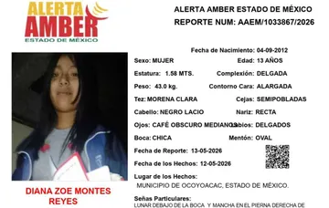 Alerta Amber: Se busca a Diana Zoé Montes Reyes; desapareció en Ocoyoacac