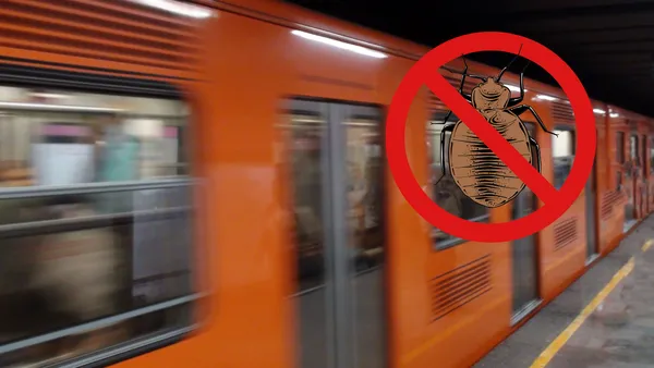 Video viral muestra chinches en asientos del Metro.