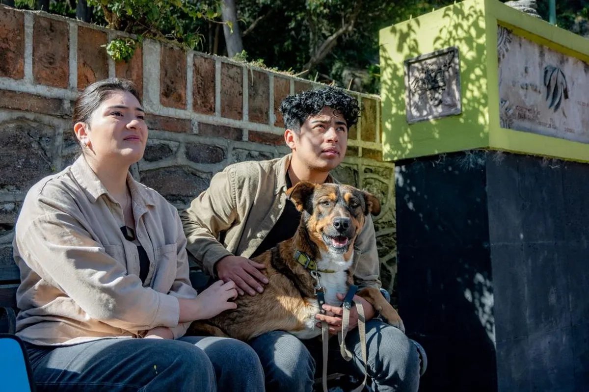 “Noble”, la historia de un perro muy valiente