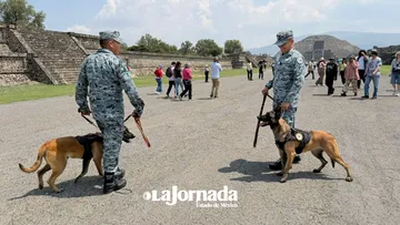 Guardia Nacional refuerza seguridad en Teotihuacán con drones y binomios caninos [VIDEO]