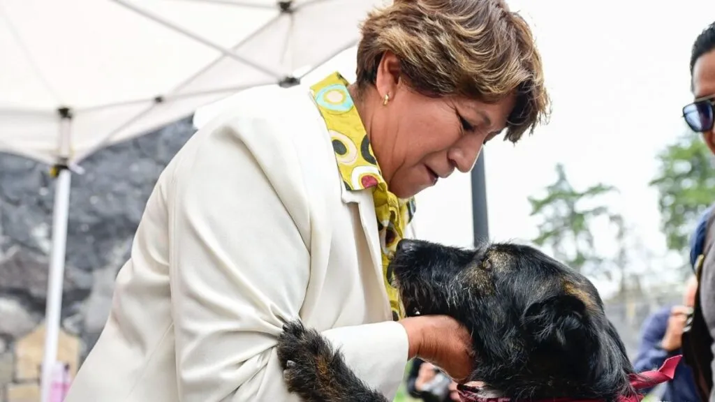 Mexiquenses respaldan acciones de Delfina Gómez a favor de los animales
