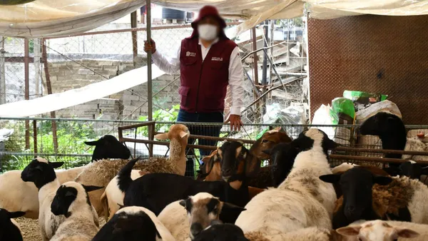 Secretaría del Bienestar coordina entrega de bienes incautados en el sur tras ‘Operación Liberación’