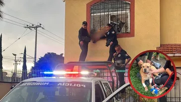 Perrito atorado en una ventana es rescatado en Ecatepec