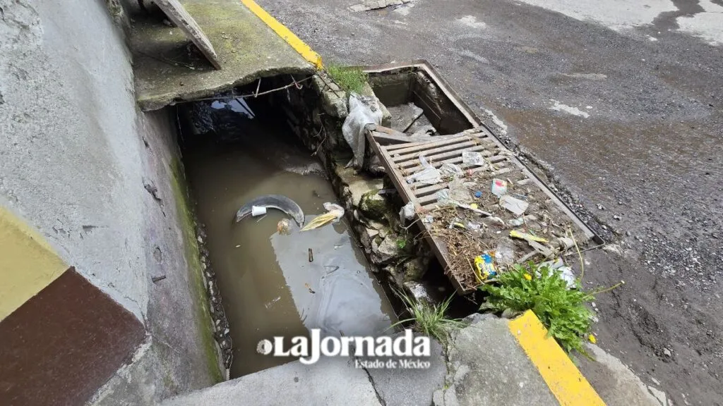 Habitantes de Tecaxic aseguran viven en el abandono institucional