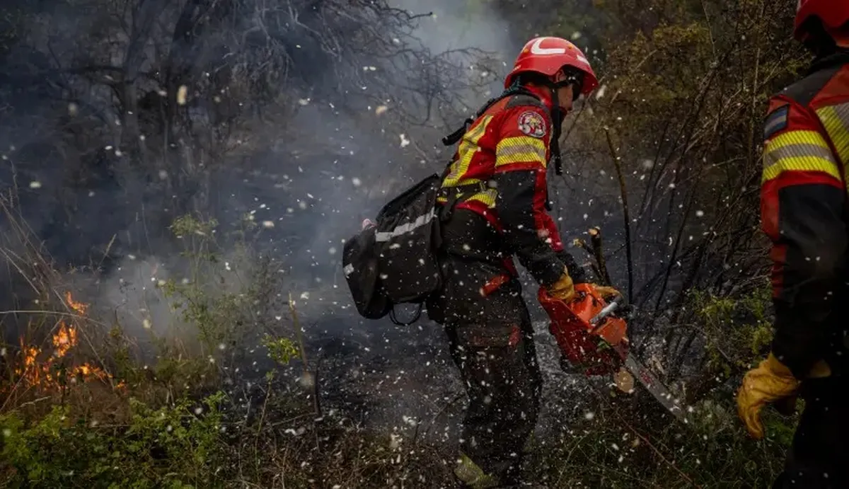 Sólo en lo que va del año se han registrado 20 incendios forestales en Amecameca.