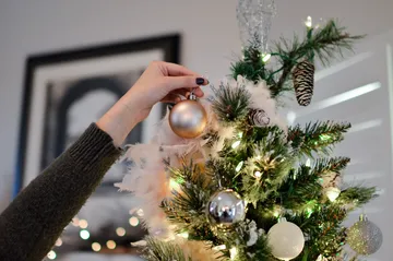 Invitan a darle vida a los árboles navideños naturales