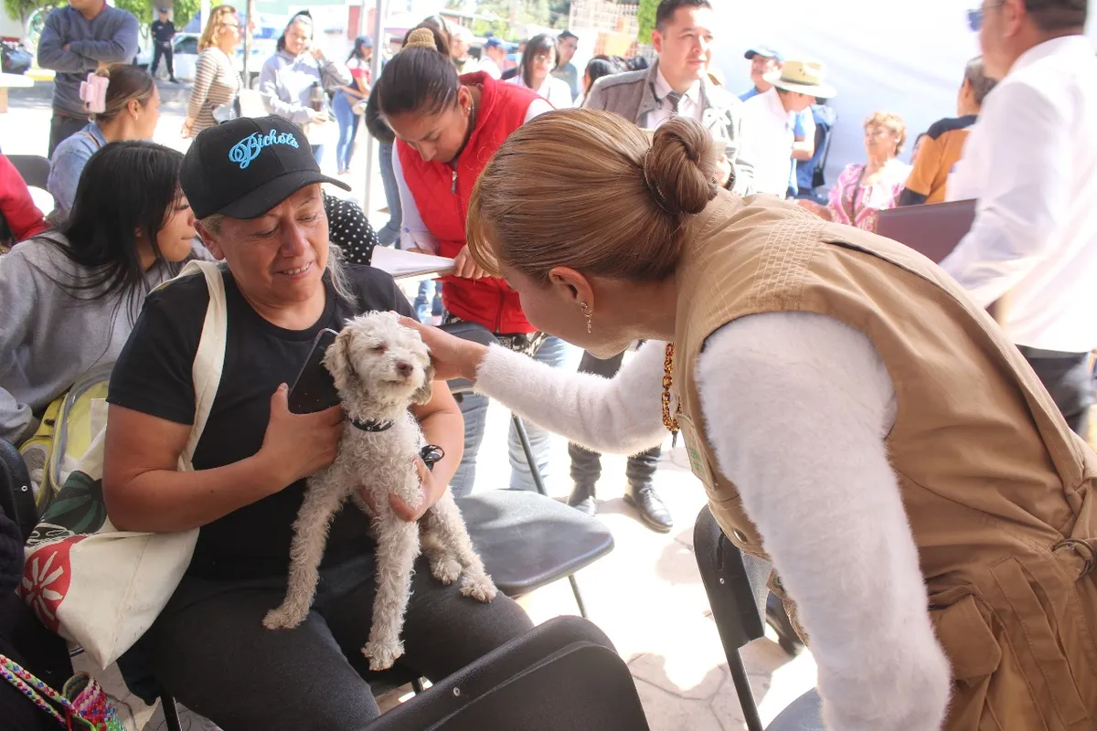 Caravana por el Bienestar Animal llegará a Toluca este 10 de diciembre