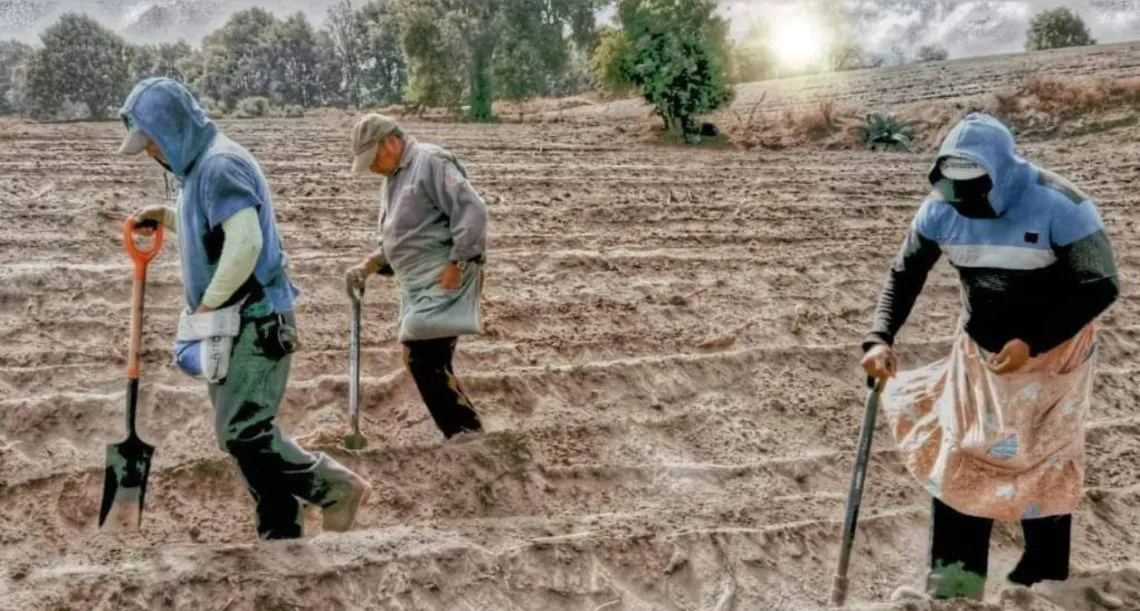 Atlautla: Dan a conocer ganadores del concurso “Amor por el Campo”