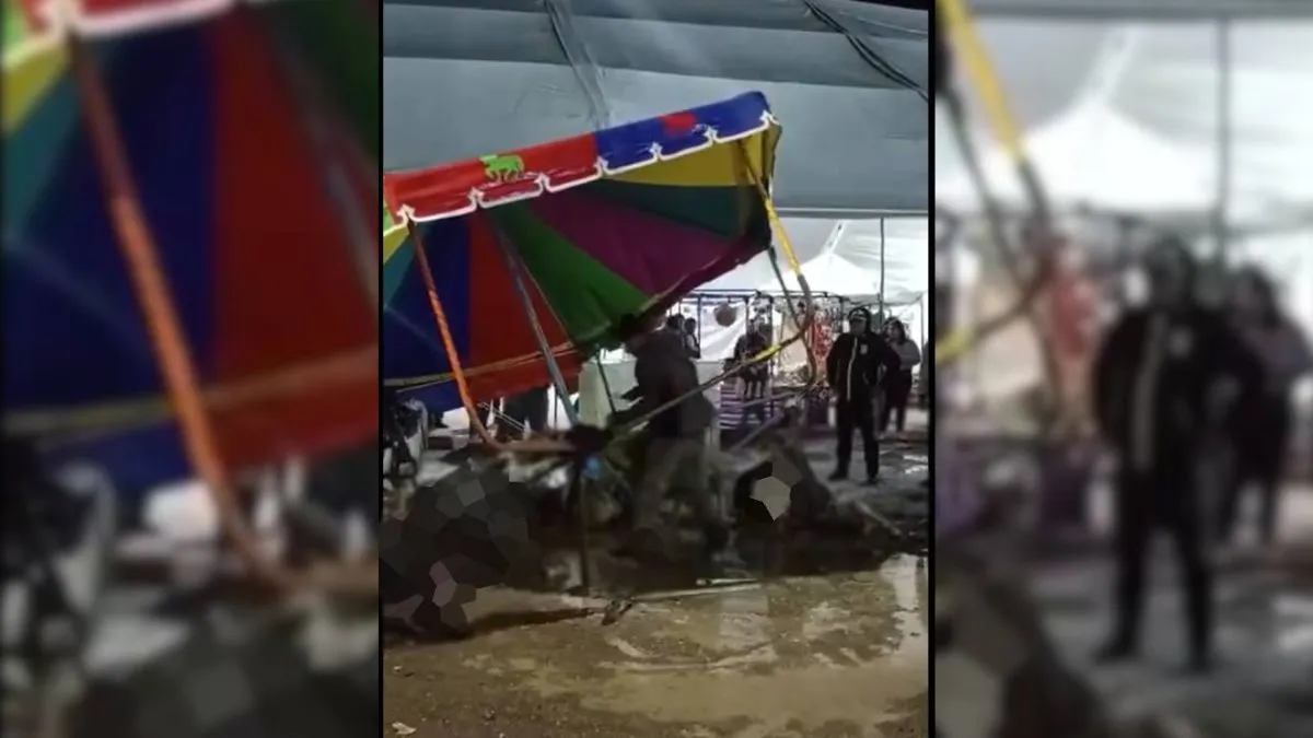 Xonacatlán: Muere pony electrocutado en feria patronal