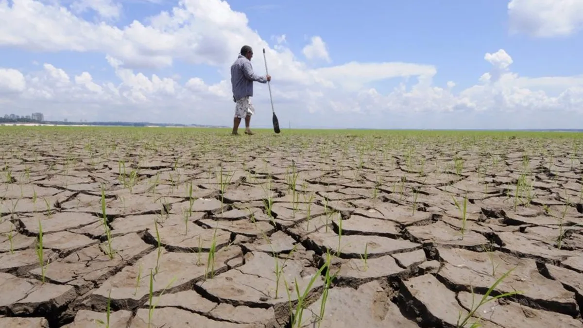 Necesario generar planes ante incidentes por cambio climático: especialista