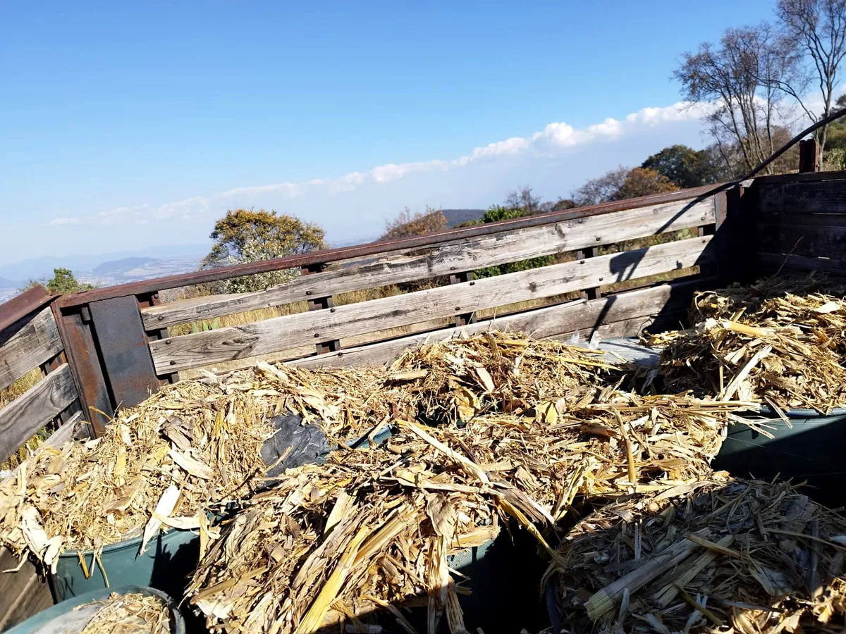 Descubrieron 15 contenedores con una sustancia blanca.