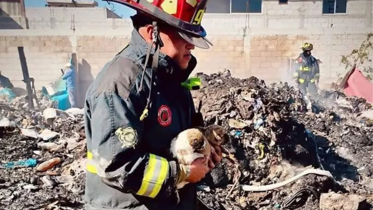 El siniestro ocurrió en un predio donde se almacenaba material de reciclaje, lo que facilitó la rápida propagación del fuego.