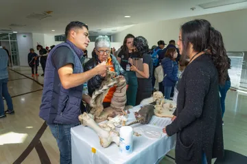 UAEMéx presenta exposición multisensorial para personas con discapacidad visual