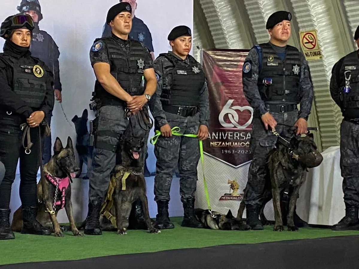 Nezahualcóyotl: Primera unidad canina de la policía entra en operación