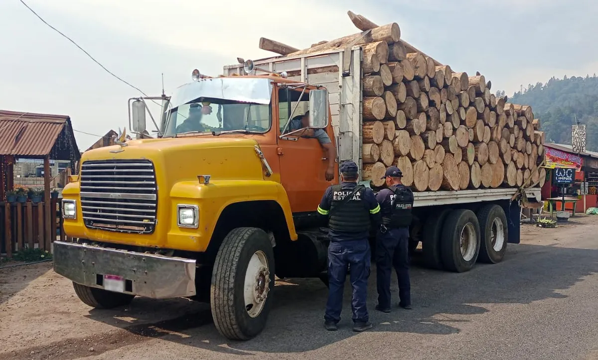 Detienen a cinco hombres por transportar madera ilegal en el Edomex