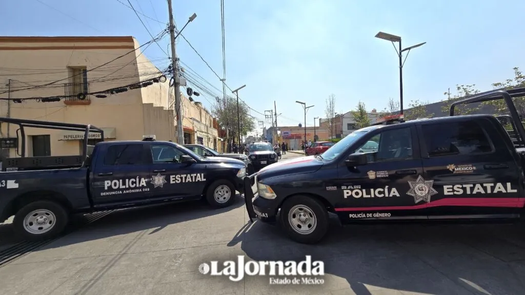 Rescatan a perros criados para peleas clandestinas en el centro de Toluca