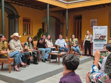 Toluca impulsa protección del cacomixtle y tlacuache para cuidar el equilibrio ecológico