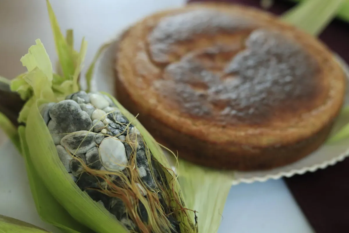 Anuncian la 19° Feria del Elote y del Maíz en Tonanitla
