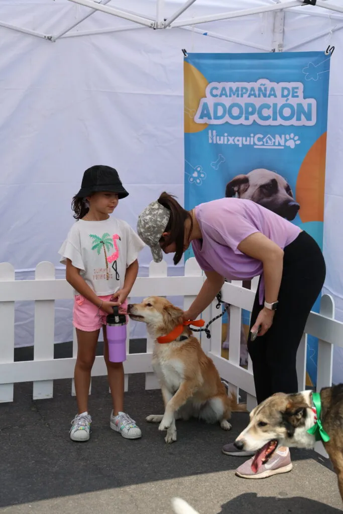Logra “Huixquican” más de 430 adopciones de perritos que buscaban un nuevo hogar