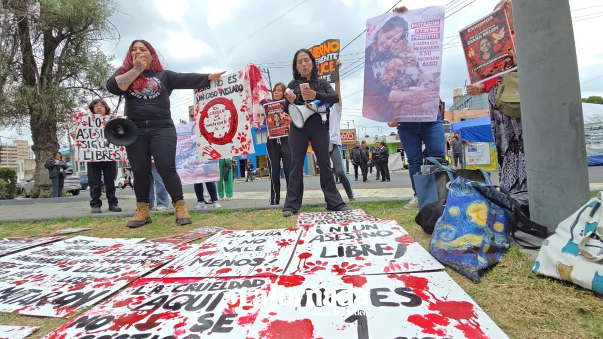 Animalistas piden destitución de MP que ignoró denuncias de la rescatista Diana Belem en Tultitlán