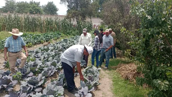 Inundaciones generan solicitudes de apoyo agroclimático en 2025 Edomex