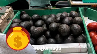 Estados Unidos ha frenado avance de exportación de aguacate del Edomex