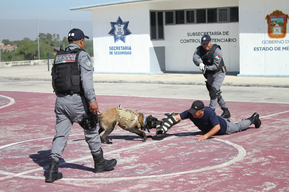 Unidad Canina refuerza la seguridad en los centros penitenciarios del Edomex