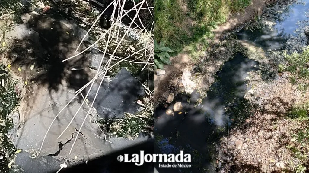 Vecinos de Xonacatlán en alerta máxima, consideran bodega como fuente de contaminación