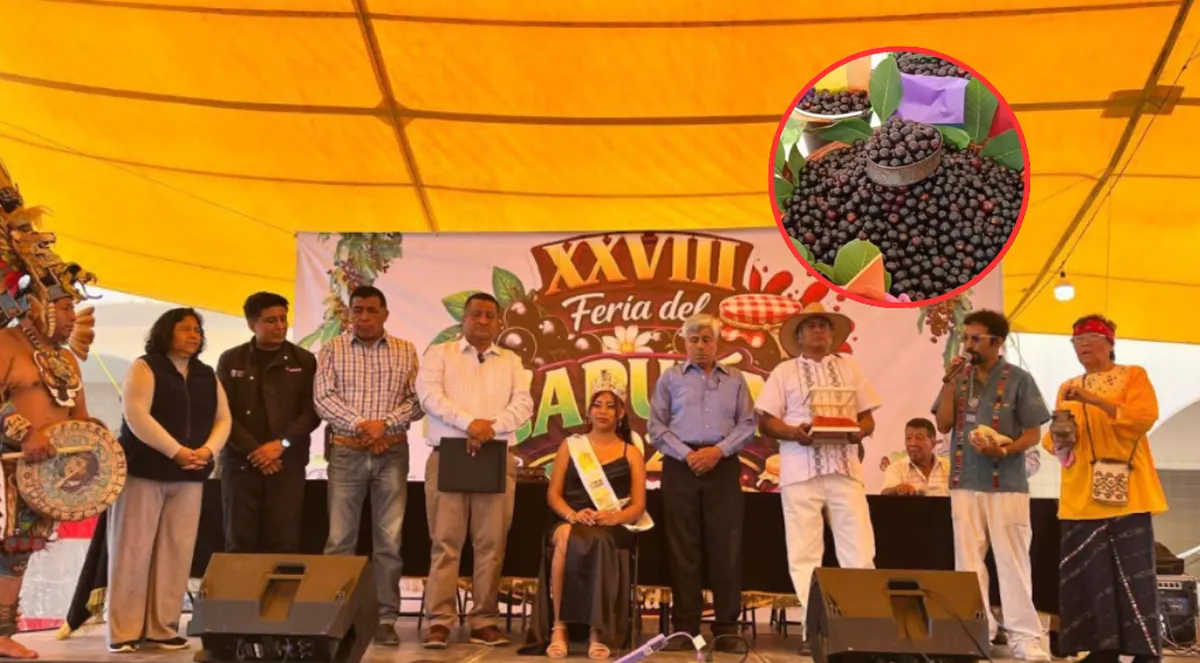 Atlautla inaugura la edición 28 de la Feria del Capulín para celebrar al “cerezo mexicano”