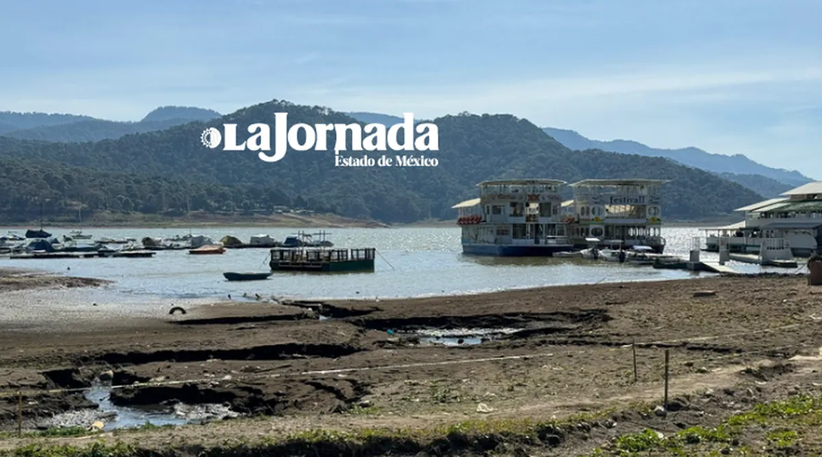 Valle de Bravo: Van por saneamiento de presa con lirio acuático