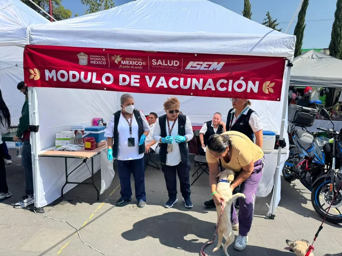 Edomex aplica más de 707 mil vacunas antirrábicas a perros y gatos